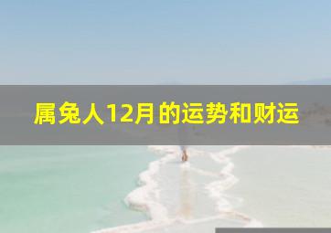 属兔人12月的运势和财运