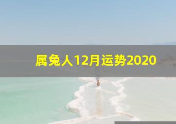 属兔人12月运势2020