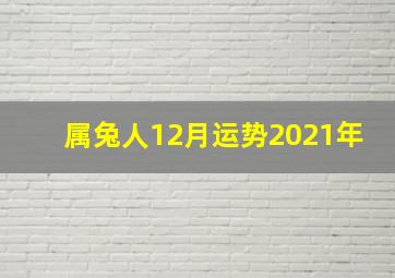 属兔人12月运势2021年