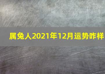 属兔人2021年12月运势咋样