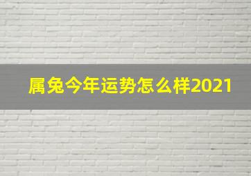 属兔今年运势怎么样2021