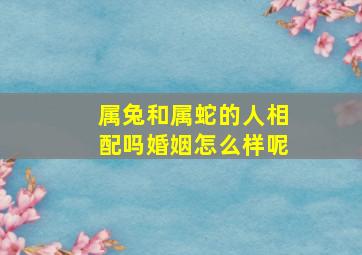 属兔和属蛇的人相配吗婚姻怎么样呢