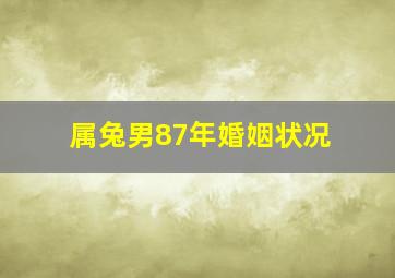 属兔男87年婚姻状况