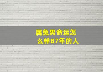 属兔男命运怎么样87年的人