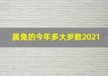 属兔的今年多大岁数2021