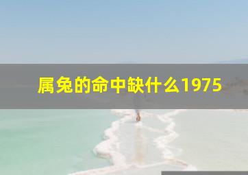 属兔的命中缺什么1975