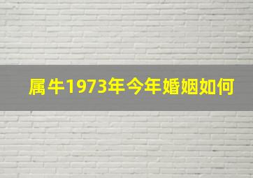 属牛1973年今年婚姻如何