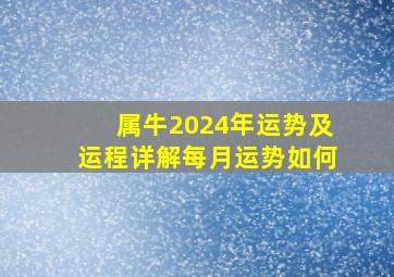 属牛2024年运势及运程详解每月运势如何