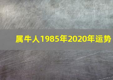 属牛人1985年2020年运势