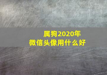 属狗2020年微信头像用什么好