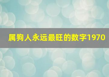 属狗人永远最旺的数字1970