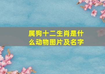 属狗十二生肖是什么动物图片及名字