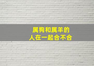 属狗和属羊的人在一起合不合