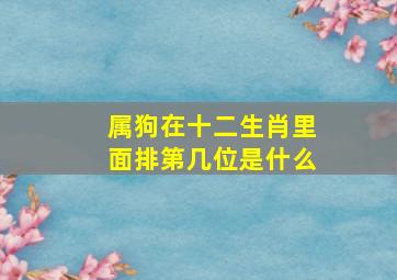 属狗在十二生肖里面排第几位是什么