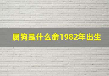 属狗是什么命1982年出生