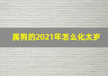 属狗的2021年怎么化太岁