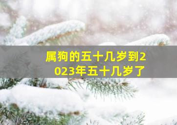 属狗的五十几岁到2023年五十几岁了