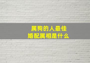 属狗的人最佳婚配属相是什么