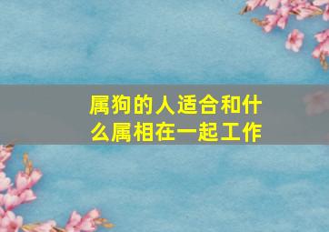 属狗的人适合和什么属相在一起工作