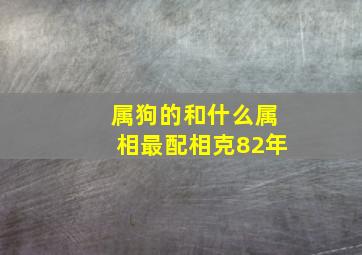 属狗的和什么属相最配相克82年