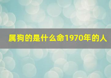 属狗的是什么命1970年的人