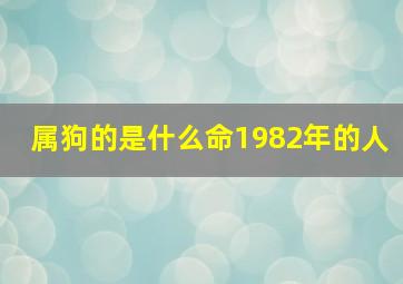 属狗的是什么命1982年的人