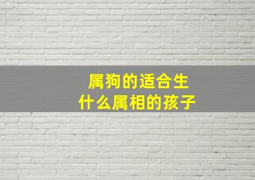 属狗的适合生什么属相的孩子