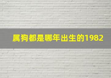 属狗都是哪年出生的1982