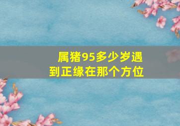 属猪95多少岁遇到正缘在那个方位