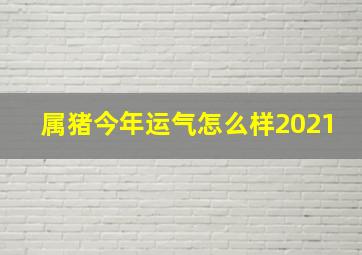 属猪今年运气怎么样2021