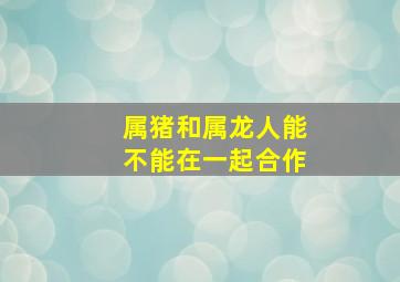 属猪和属龙人能不能在一起合作