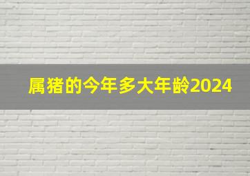 属猪的今年多大年龄2024