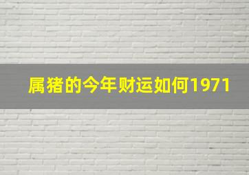 属猪的今年财运如何1971