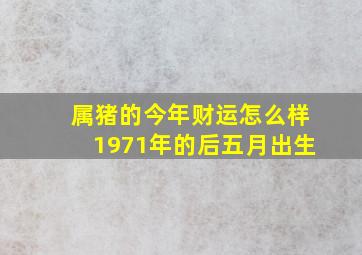 属猪的今年财运怎么样1971年的后五月出生