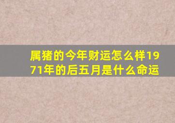 属猪的今年财运怎么样1971年的后五月是什么命运