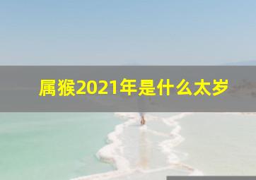 属猴2021年是什么太岁