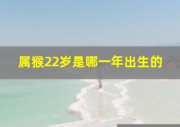 属猴22岁是哪一年出生的