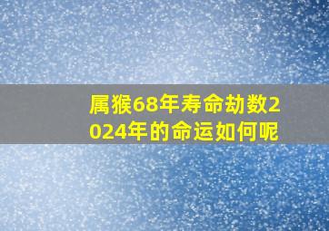 属猴68年寿命劫数2024年的命运如何呢