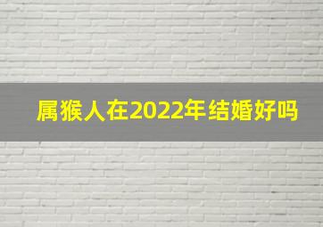 属猴人在2022年结婚好吗