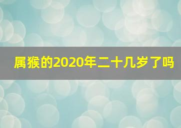 属猴的2020年二十几岁了吗