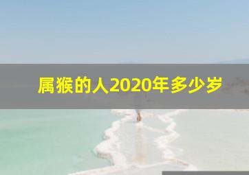 属猴的人2020年多少岁