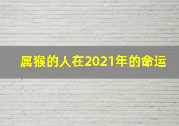 属猴的人在2021年的命运