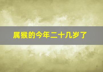 属猴的今年二十几岁了