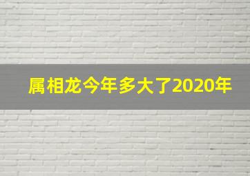 属相龙今年多大了2020年