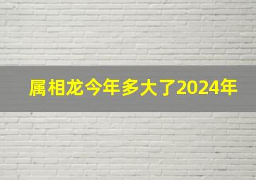 属相龙今年多大了2024年