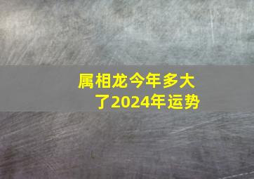 属相龙今年多大了2024年运势