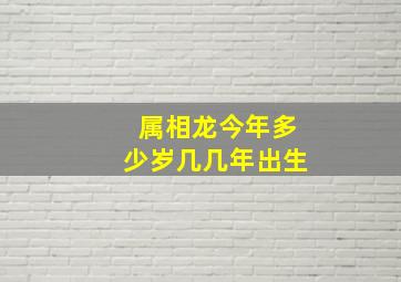 属相龙今年多少岁几几年出生