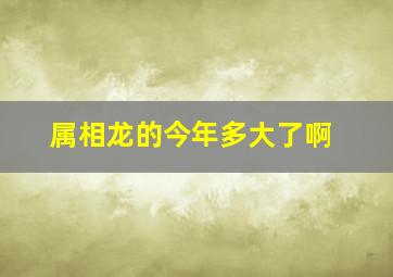 属相龙的今年多大了啊