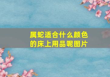 属蛇适合什么颜色的床上用品呢图片