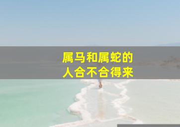 属马和属蛇的人合不合得来